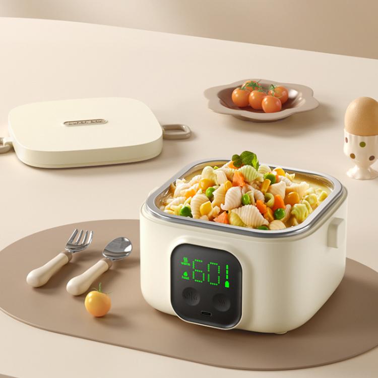 Electric Lunch Box
